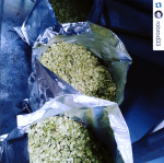 Rob the Brewer posts a helping of hops used in the Black IPA.